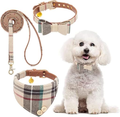 BINGPETإХʥ꡼ɥåȸμդ꡼ɥ١åإåĴǽ餫襤Ķ̵ϥɥդƹػФ...