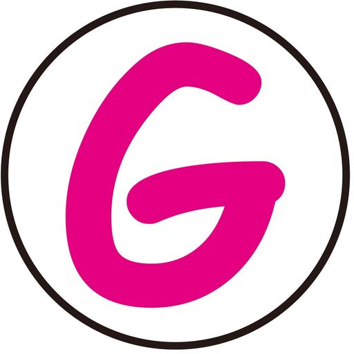 [スワンズ]ゴーグルケース用アクセサリー【G】WPI(4)