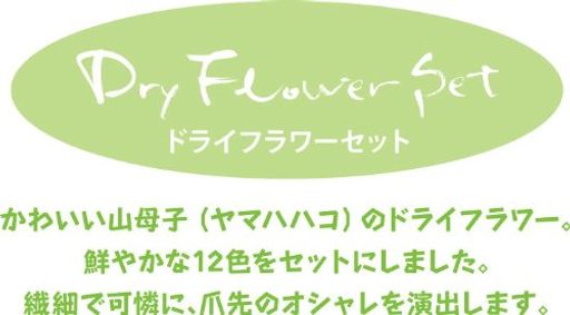 BEAUTYNAILERドライフラワーセットDRF-2