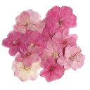ドライフラワー押し花3-4Cm24個入りドライフラワーレジン用DIY用押し花ハンドメイド材料花資材小分けハーバリウムアロマワックスサシェランダムカラー