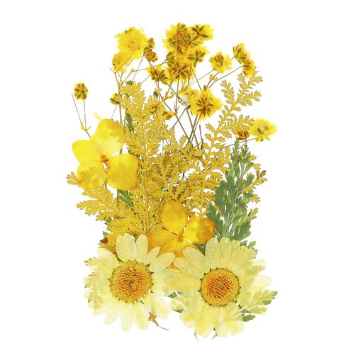 PATIKILドライプレスフラワー、本物のプレスフラワー乾燥葉、スクラップブック用品、カード作り、レジ..