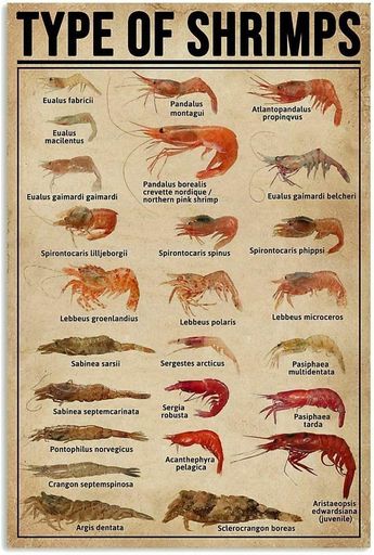 エビの種類木製ブリキ看板家の壁の装飾家の装飾アートポスターレトロなヴィンテージ金属錫サイン8x12イ..