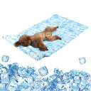 Peto-Raifuひんやりマット枕付きジェルマットペットクールマットひんやりシート犬猫ペット用品夏用ひえひえ涼しい冷却マット涼感冷感冷たいパッドエコクーラーひ...