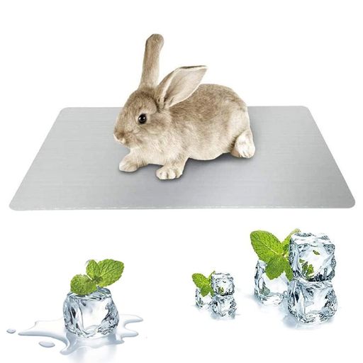 Ҥץ졼ȥڥåôץ졼ȥϥॹץ졼ȥô٥å300x200MMѥޥåʪѽ뤵кǮк...
