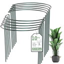 SZMDLX植物支柱10個セット25cmx40cm半円形花ささえつる性植物観葉植物誘引ガーデニング用園芸支柱植物サポート花支え農業用園芸用