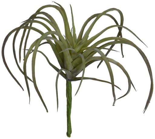 東京堂(Tokyodo)造花MAGIQエアプランツピンクグリーンL11xW11cmFG001364-025