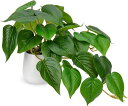 VILLACOMOフェイクグリーンインテリアグリーンポトス人工観葉植物卓上鉢植えポトス造花エアプランツおしゃれかわいいオフィスプレゼント(120CM(高さ))
