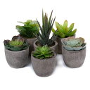 T4Uフェイクグリーン観葉植物人工観葉植物人工多肉植物造花インテリア6点入りお世話不要プレゼント