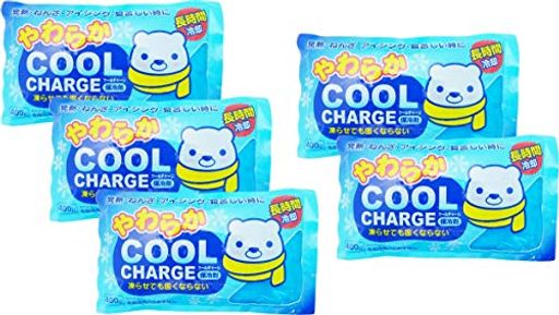 紀陽除虫菊やわらかクールチャージ(5個入)保冷剤アイシング[ソフトタイプ](4)
