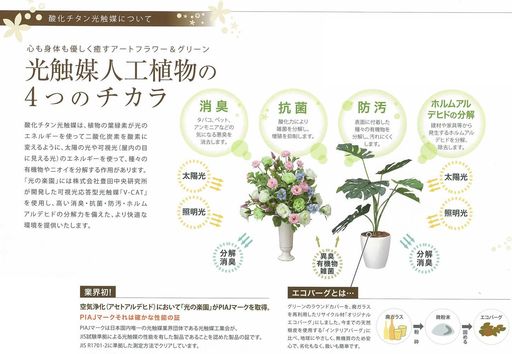 光触媒造花光の楽園クイーン胡蝶蘭5本立L655A150