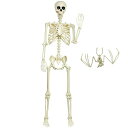 MARUNDAハロウィン骸骨飾り165cm等身大+コウモリ2点セット道具家庭用置物吊り下げ撮影用ハロウィン装飾リアル感強いホラーモデル