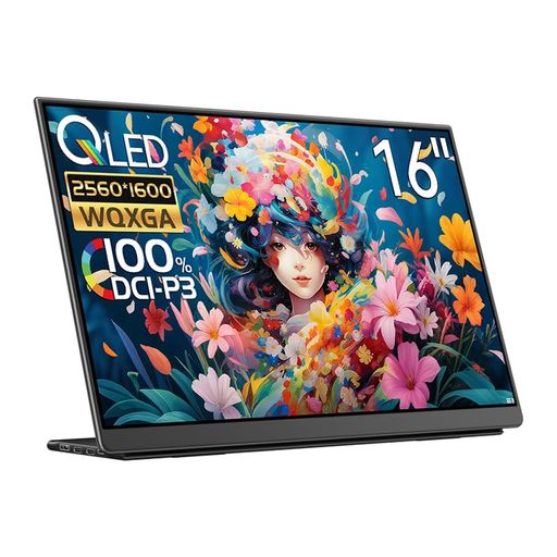 EHOMEWEI モバイルモニター 144hz 2.5K 16インチ WQXGA 2560*1600 QLED 量子ドット ポータブルモニター 非光沢【Windows/MacOS】対応 100% DCI-P3 ゲーミング Type-C 保護フィルム