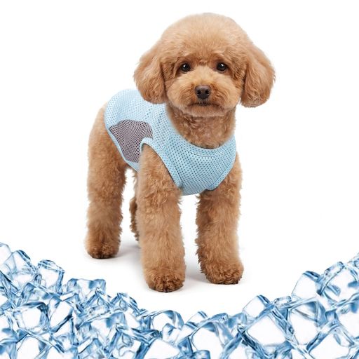 冷感犬服 【品質良い素材採用 着心地いい】:通気性が抜群で、着心地もよく、ペットの肌に優しい素材で作られら犬クールベストです。 【使用方法】:ひんやり水に濡らして、余分の水を絞り使っています。もし冷感を強化したい場合は、冷蔵庫で冷やして着せているのもOKです。 【夏の必需品】:エアコンを強くしたくない時でも、このクールベストを濡らしてワンちゃんに着せると体感温度が下がり、落ち着いてくれます。また、日中の暑さが残る夕方のお散歩やお出かけも、ワンちゃんが涼しく過ごせます。 【着脱簡単】伸び縮みする素材で 着せやすく 扱いやすい 着脱もストレスフリー簡単です。 【6サイズ展開】:XS:【胴回り:30cm,背丈:20cm,首回り:22cm】;S:【胴回り:35cm,背丈:24cm,首回り:25cm】;M:【胴回り:40cm,背丈:28cm,首回り:28cm】;L:【胴回り:46cm,背丈:32cm,首回り:32cm】;XL:【胴回り:52cm,背丈:38cm,首回り:38cm】;XXL:【胴回り:58cm,背丈:44cm,首回り:44cm】猫ちゃん、小型犬 中型犬に対応します。
