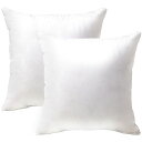 AYOクッション中身45x45CM2個セット(他のサイズもある)潰れないソファークッションヌードクッション圧倒的ボリューム感背もたれ柔らかい丸洗い可能抱き枕(ホ...