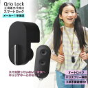 【11日まで限定価格＆P5倍】Qrio Lock + Qri