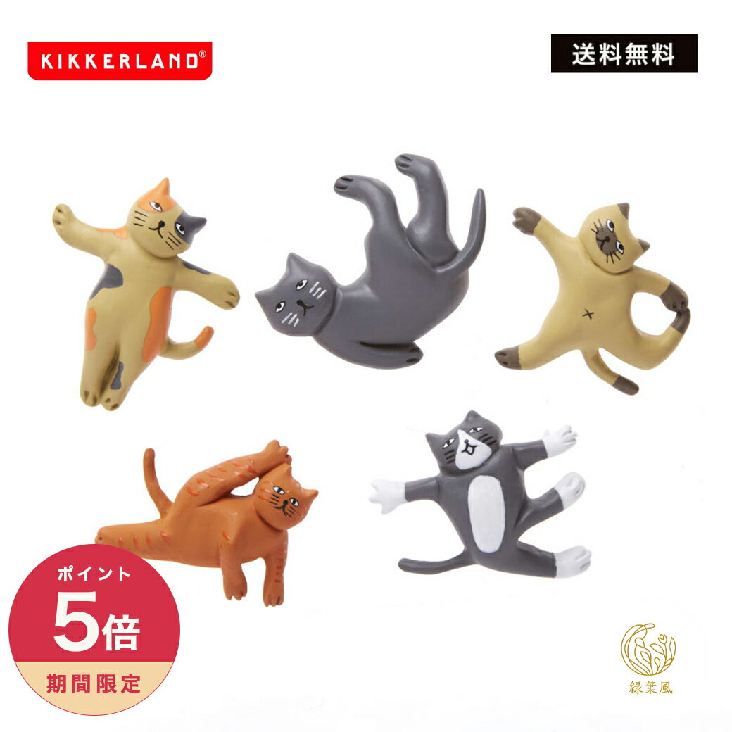 ��365�������ۺ���1000��OFF�����ݥ�CAT YOGA MAGNET�����å������ɡ�KIKKERLAND ����å� �襬 �ޥ��ͥåȡ��ͥ������ǭ��...