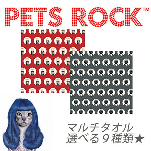 【PETS ROCK(ペッツロック)高性能タオ