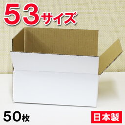 白 ダンボール 段ボール 53サイズ(60サイズ以内)(24.8×18.5×9.6cm) 【50枚セット】日本製 白色 梱包用 宅配便 宅急便 コンパクト 小さめ　ホワイト 発送用 段ボール 梱包箱　引越し まとめ買い 小物収納 sm