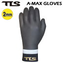 【SALE】 在庫限り tls サーフィン グローブ TLS A-MAX GLOVES 2mm サーフグローブ 5本指 ツールス TOOLS 冬用 グローブ 防...