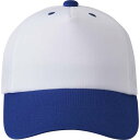 ◆◆○ <デサント> DESCENTE フロントパネルキャップ DB5SCP02M (WHBL:ホワイト×ブルー) 野球・ソフトボール DB5SCP02M-WH...