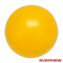 ◆◆○ <エバニュー> Evernew 体ツクリ運動ボール ETE302