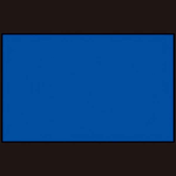 ◆◆○メール便発送 ＜フットマーク＞ FOOTMARK カラーマーク 10枚入り (08：ネイビー) 101700-08