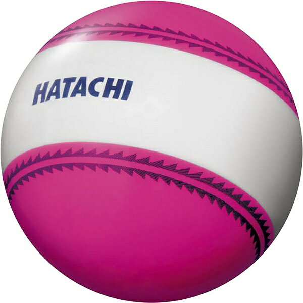 ◆◆定形外発送 <ハタチ> HATACHI ナビゲーションボール BH3851 (64) グラウンドゴルフボール