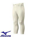  ~Ym MIZUNO y~Ymvzpc^M[^Cvi싅j 12JD6F01 (48FAC{[)