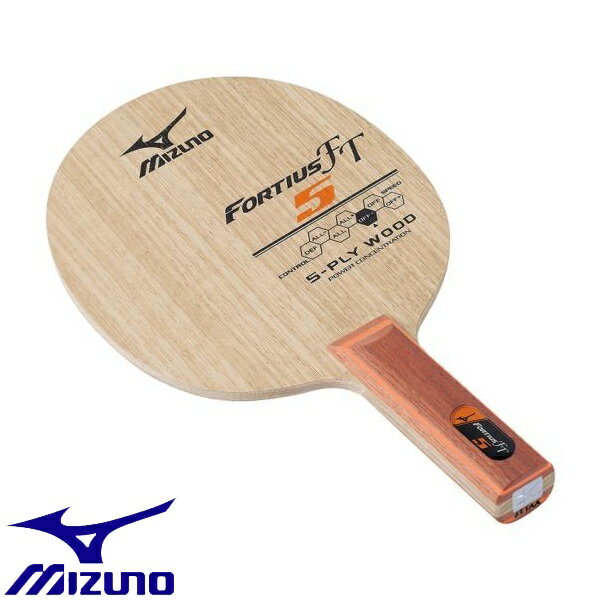  ~Ym MIZUNO tHeBEX FT5(싅) 83GTT60554 (STFST)