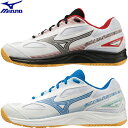 ◆◆ ＜ミズノ＞ MIZUNO ユニセックス スカイブラスター3 バドミントンシューズ 71GA2345