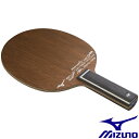  ~Ym MIZUNO FORTIUS FT ver.D REitHeBEX FT ver.D REj 83GTT10109 (ST)