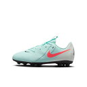◆◆ <ナイキ> NIKE ジュニア ファントム GX II アカデミー HG FJ2602 (300) サッカースパイク