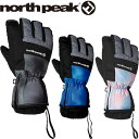 ◆◆定形外発送 <ノースピーク> north peak ジュニア グローブ 手袋 スノーボード NP4070