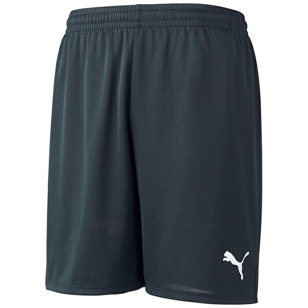  [֔ v[} PUMA LIGA Q[pc RA 729971 (03Fv[}ubN/v[}zCg)