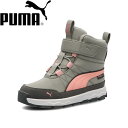  v[} PUMA v[} G{u u[c sAebNX AC+PS 392649 (03) Xj[J[