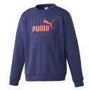  v[} PUMA GRAPHIC CREW TR 677735 (06)