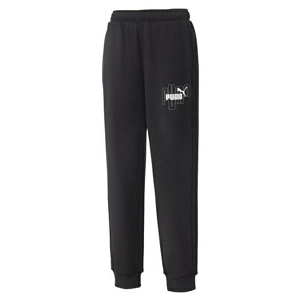 ◆◆ ＜プーマ＞ PUMA GRAPHIC PANTS TR 677736 (01)