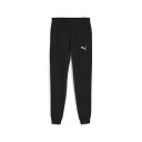 ◆◆ <プーマ> PUMA teamGOAL カジュアル パンツ 659323 (03) サッカー・フットサル
