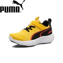  v[} PUMA Xs[h X^[ Z 309935 (03) Xj[J[