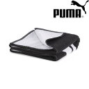 ◆◆ <プーマ> PUMA TEAM タオル S (50x100cm) 054553 (01)