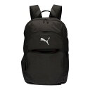  v[} PUMA TEAMFINAL obNpbN 45L 090734 (01)