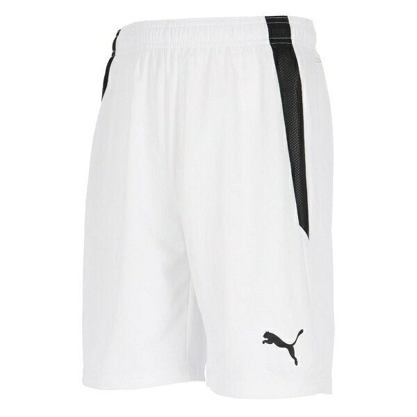 ◆◆メール便発送 ＜プーマ＞ PUMA TEAMLIGA ゲームパンツ 705151 (04) サッカー・フットサル