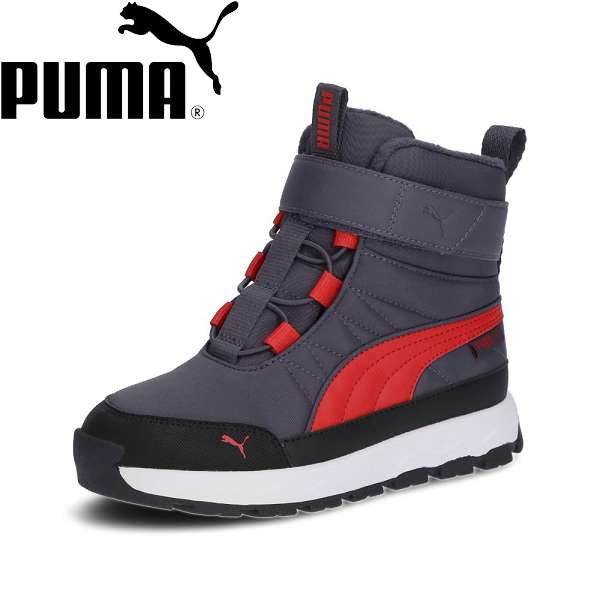  סޡ PUMA ס ܥ ֡ ԥ奢ƥå AC+PS 392649 (05)