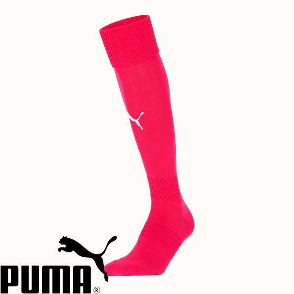 ◆◆メール便発送 ＜プーマ＞ PUMA LIGA ストッキング 729879 (12) サッカー・フットサル