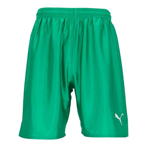 ᡼ȯ סޡ PUMA LIGA ѥ  729969 (05) åեåȥ