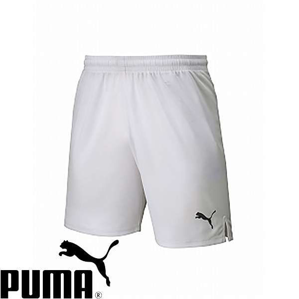 ᡼ȯ סޡ PUMA LIGA ѥ  ˥ 729972 (04) åեåȥ