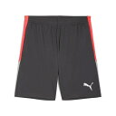 ◆◆メール便発送 <プーマ> PUMA indiviLIGA TR ショーツ 2 OP 659828 (10) サッカー・フットサル