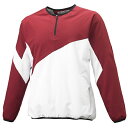 ◆◆【特価】 <エスエスケイ> SSK クロストレーニング 長袖ハーフZIP BWC1902 (2210)