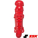 ◆◆ <エスエスケイ> SSK 軟式用レガ-ズ(ダブルカップ) CNL2000 (20)