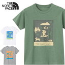 ◆◆メール便発送 <ノースフェイス> THE NORTH FACE ショートスリーブシレトコトコティー キッズ 半袖Tシャツ NTJ32534ST